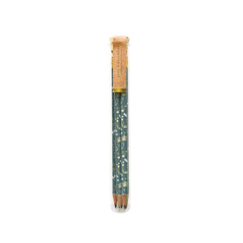 Wildflower Pencil Terrarium, Set Of 5 Pencils