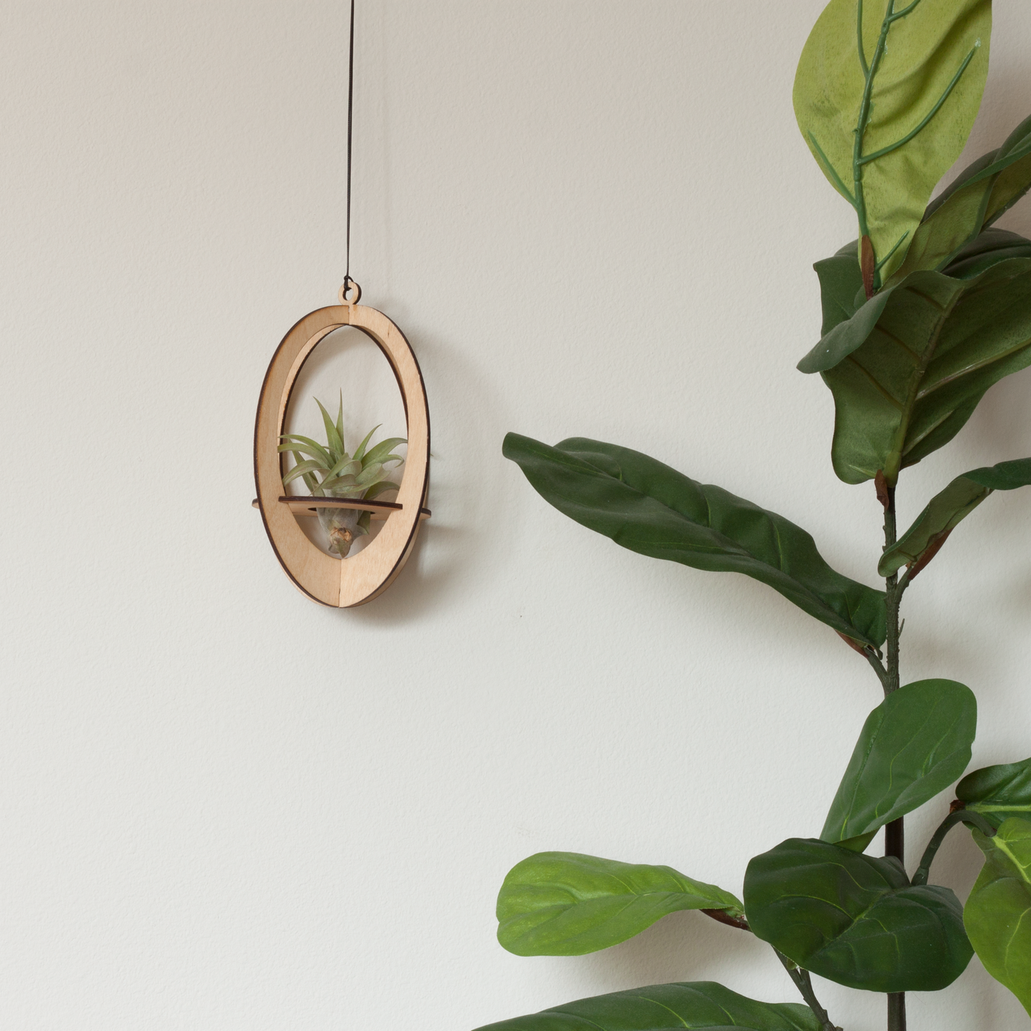 Air Plant Hanger Oval Maple