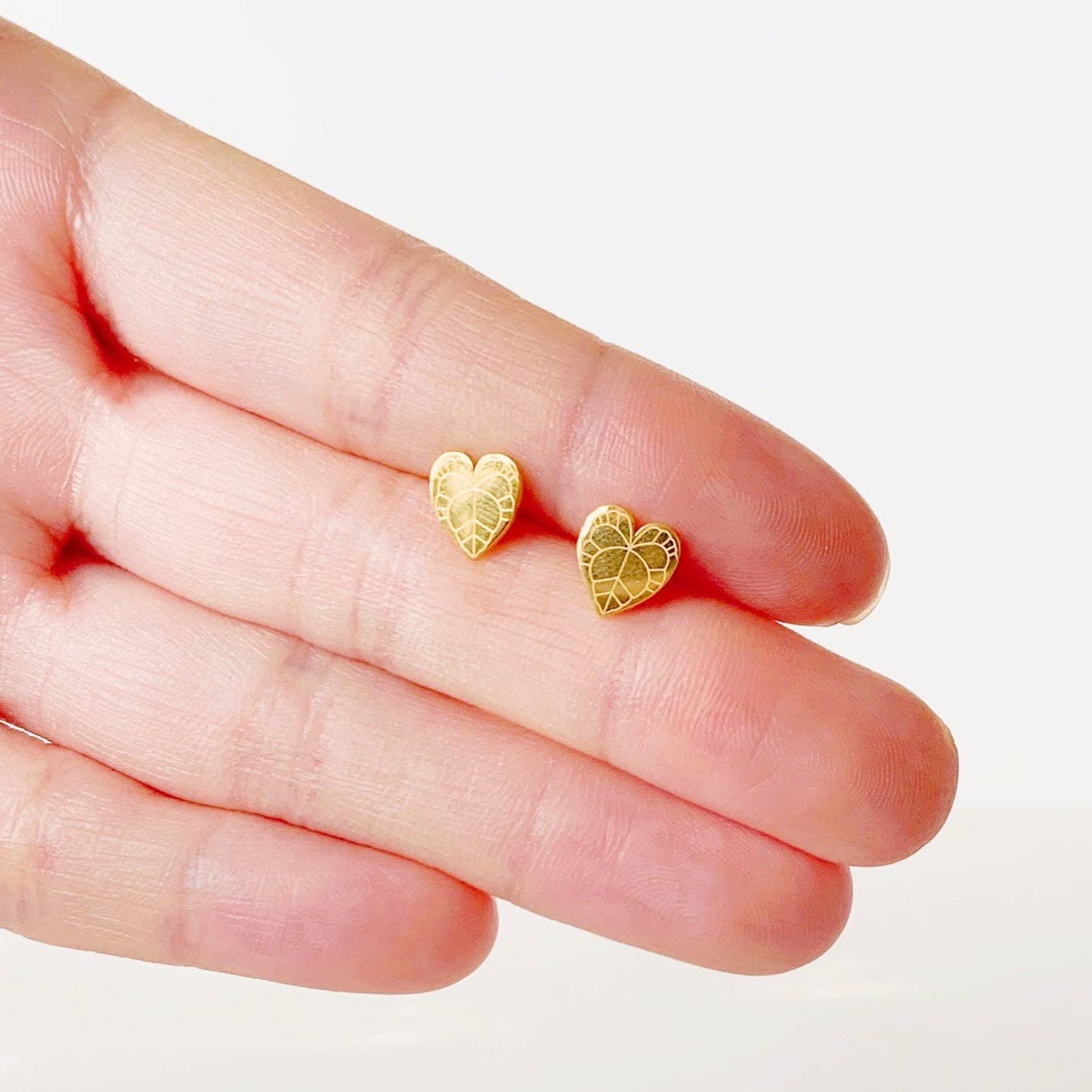 Anthurium Clarinervium Plant Studs | Hypoallergenic
