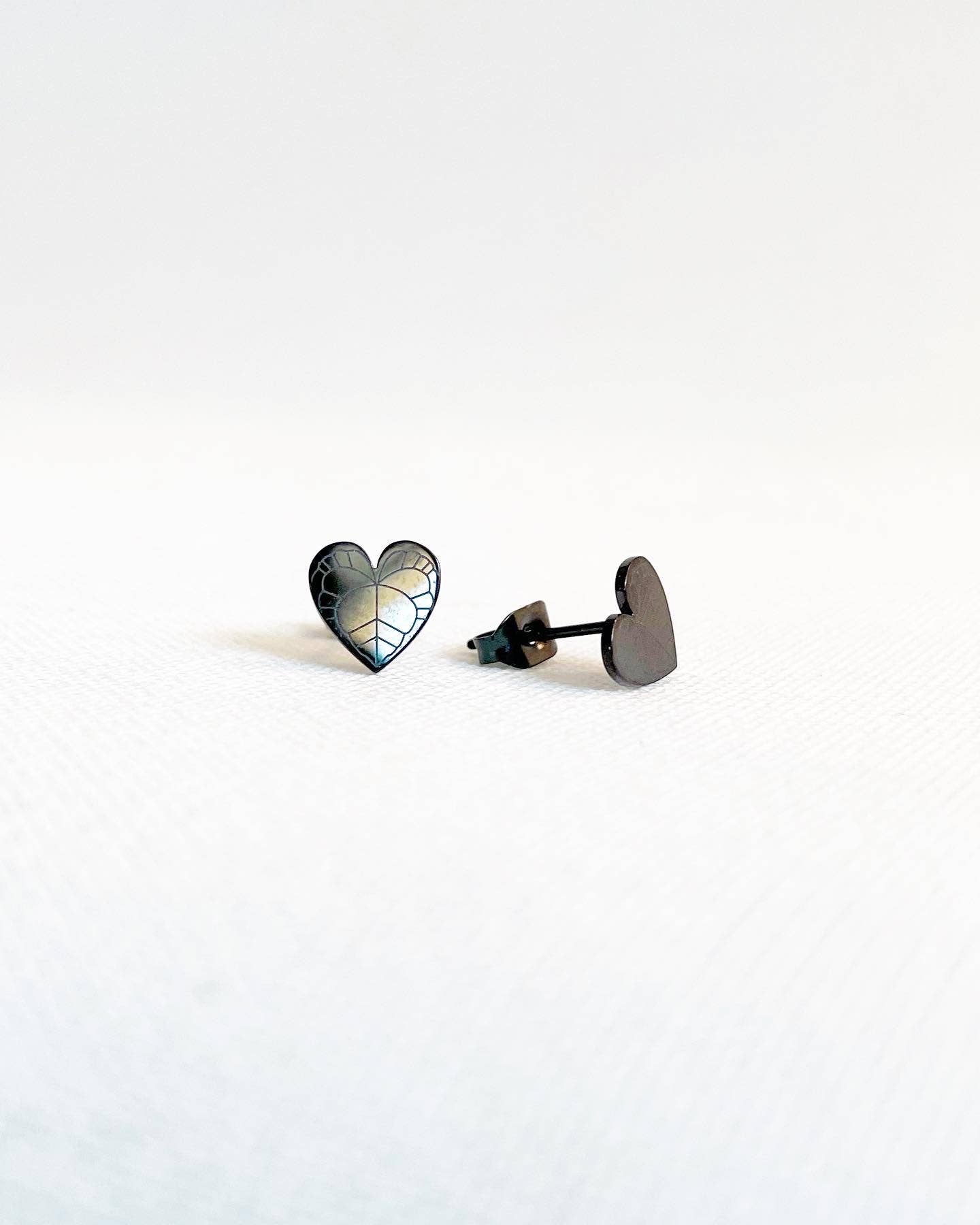 Anthurium Clarinervium Plant Studs | Hypoallergenic