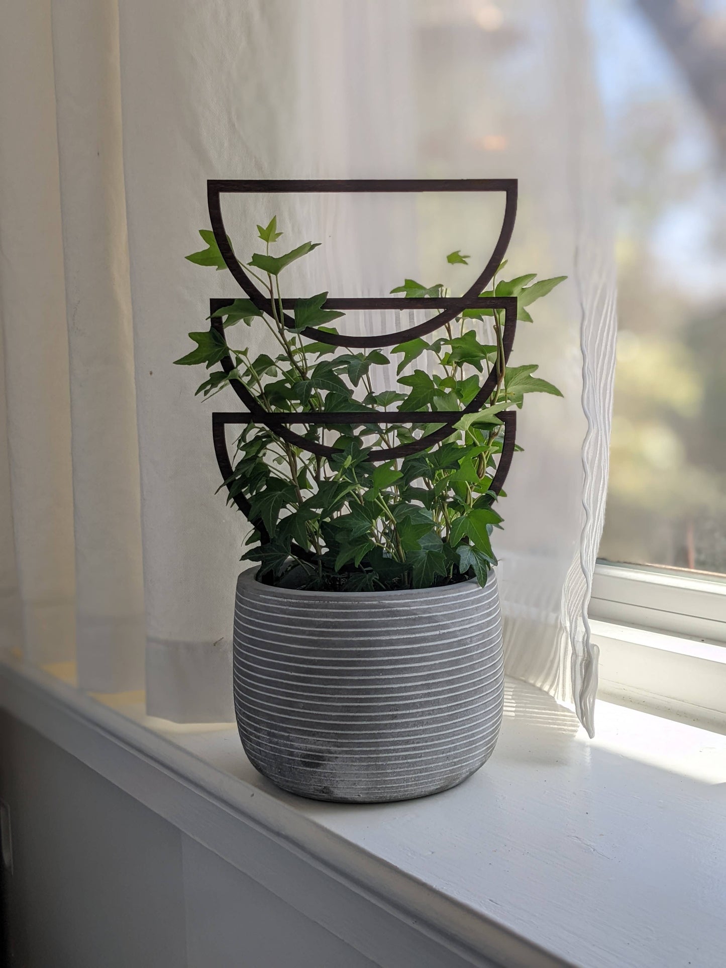 Plant Trellis - Trio Sunrise