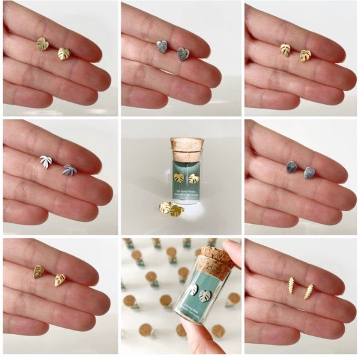 Anthurium Clarinervium Plant Studs | Hypoallergenic
