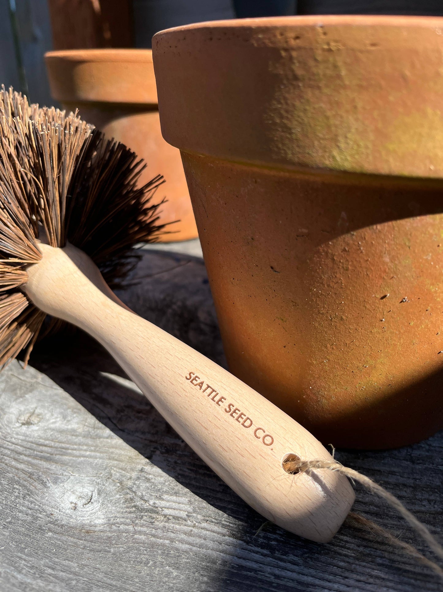 Seattle Seed Co. Pot Cleaning Brush