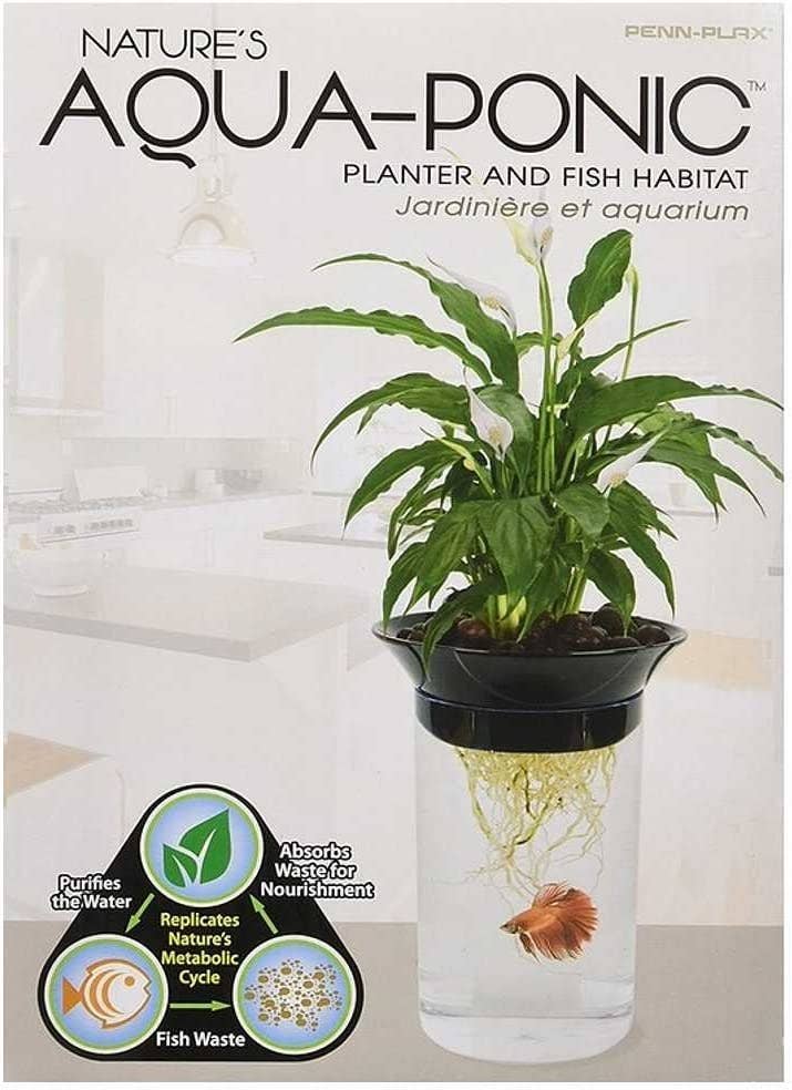 Aqua-Ponic Betta Tank & Hydroponic Planter – 0.5 Gallon