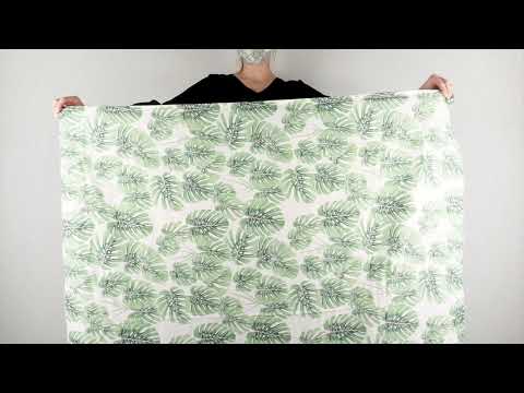 Alocasia Swaddle