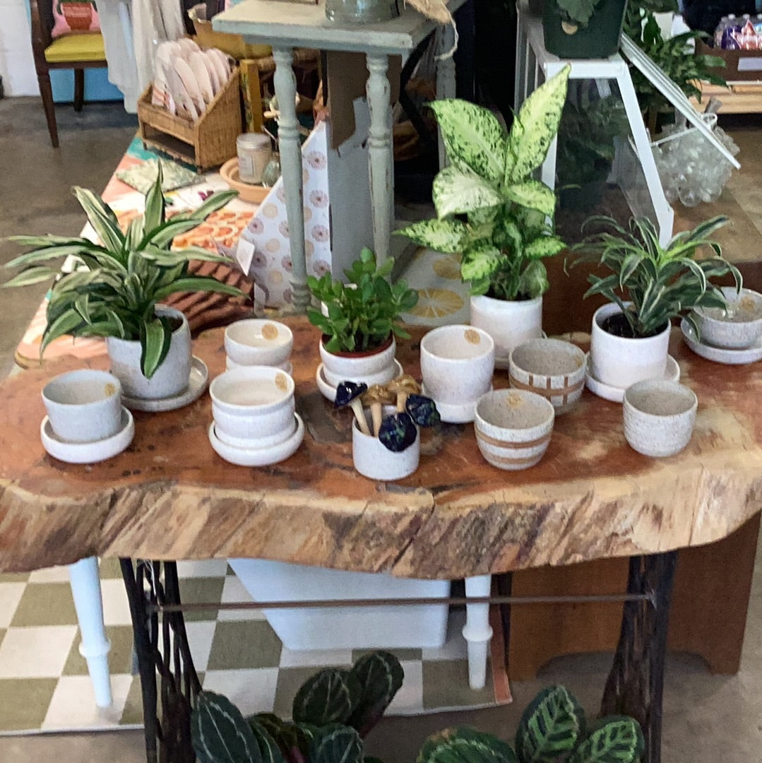 Artisan Pots - Studio Zeph