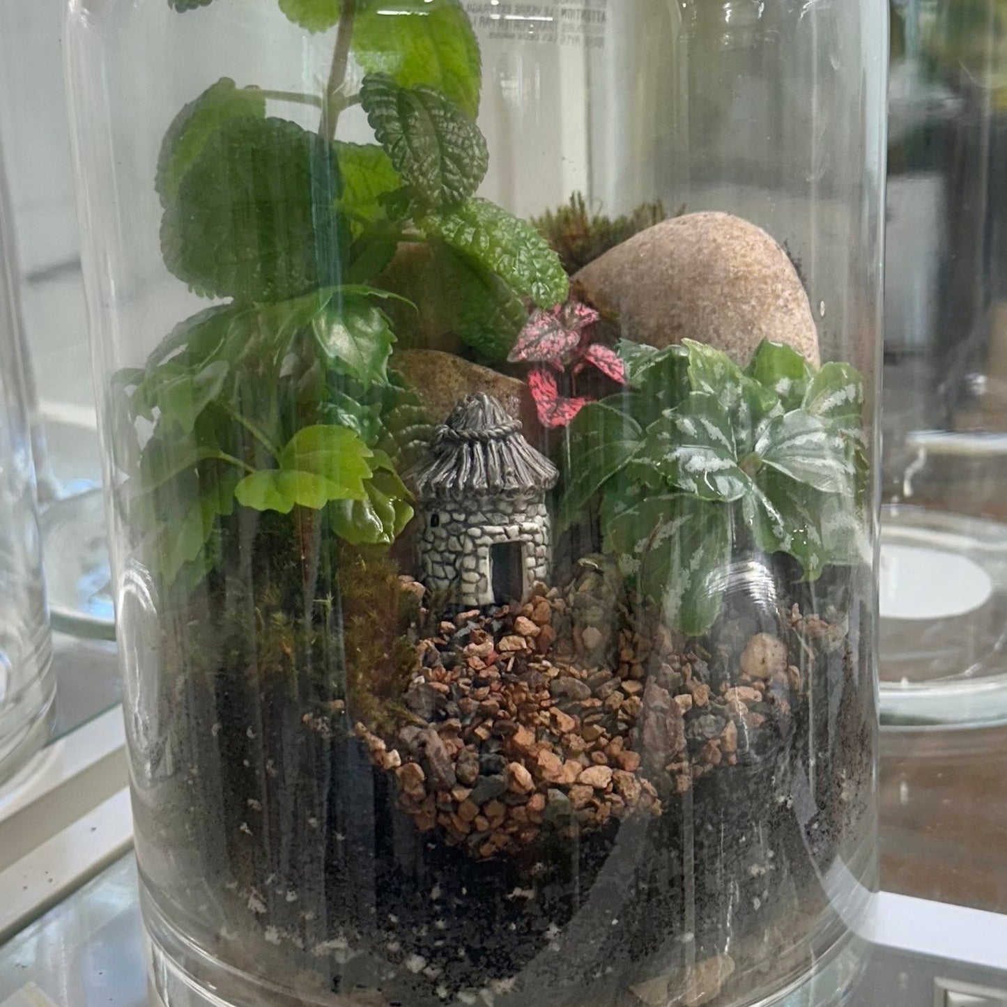 Tiny Worlds: Closed Terrarium Building Class