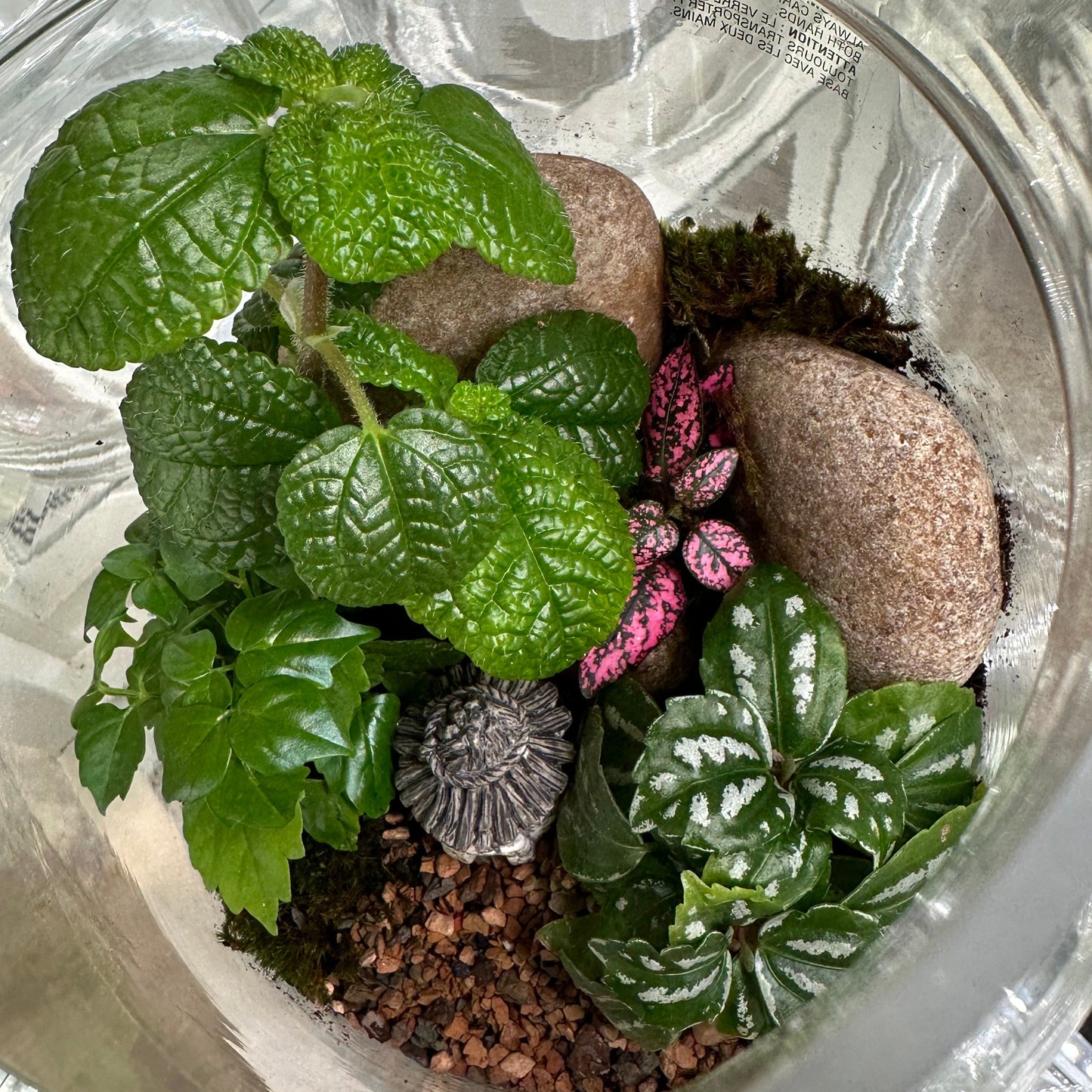 Tiny Worlds: Closed Terrarium Building Class