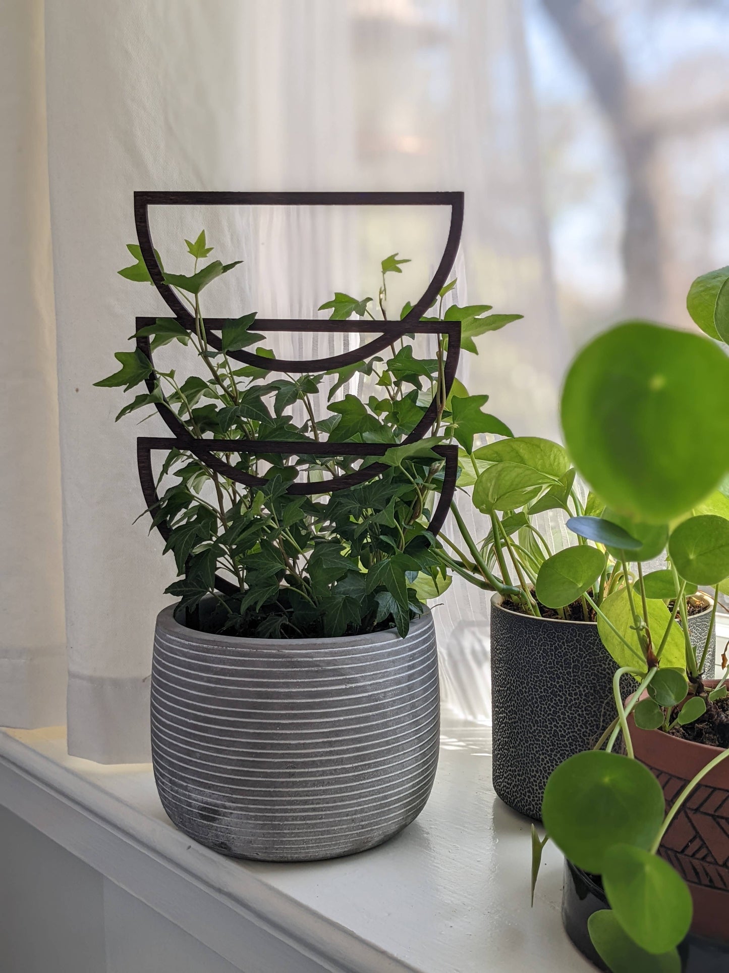 Plant Trellis - Trio Sunrise