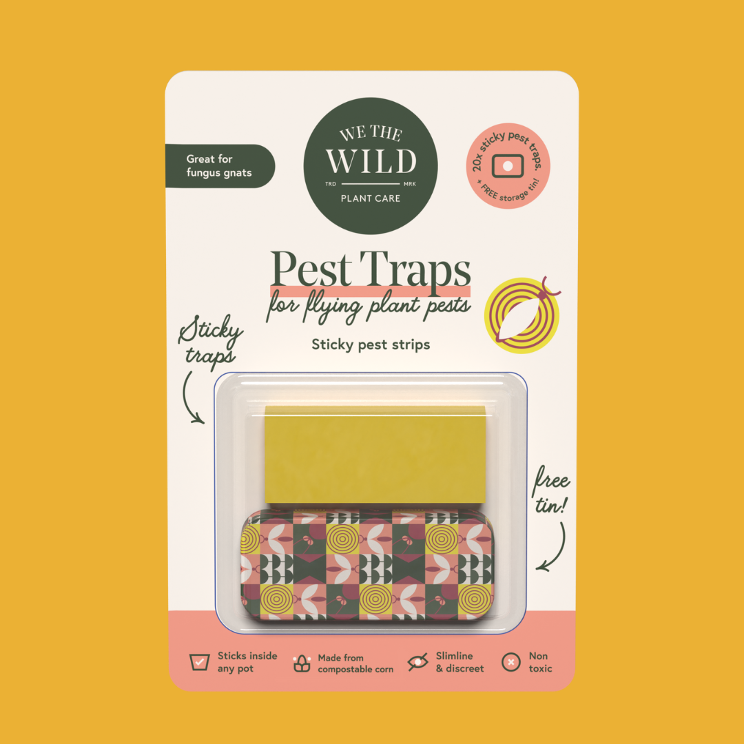 We the wild Compostable Gnat Traps