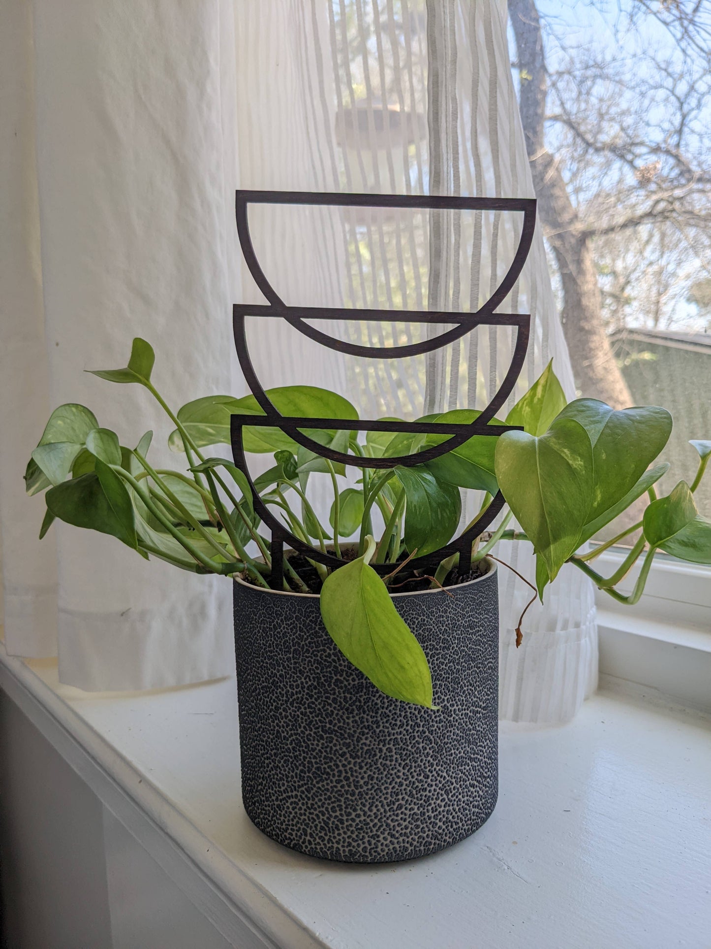Plant Trellis - Trio Sunrise