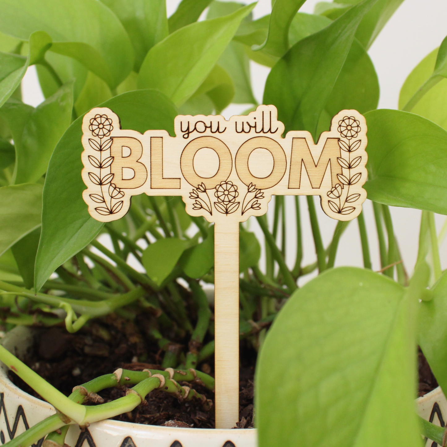 Wooden plant stake, you will bloom, graduation gift