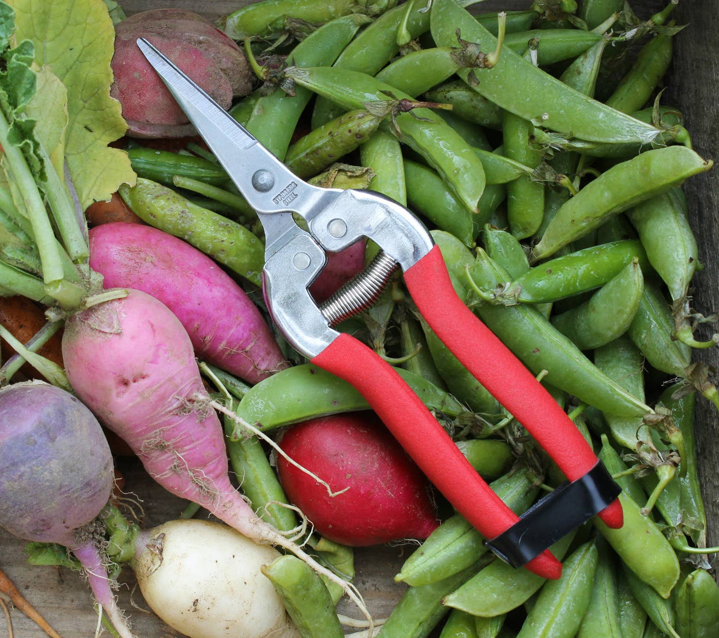 Garden Shears--Needle Nose