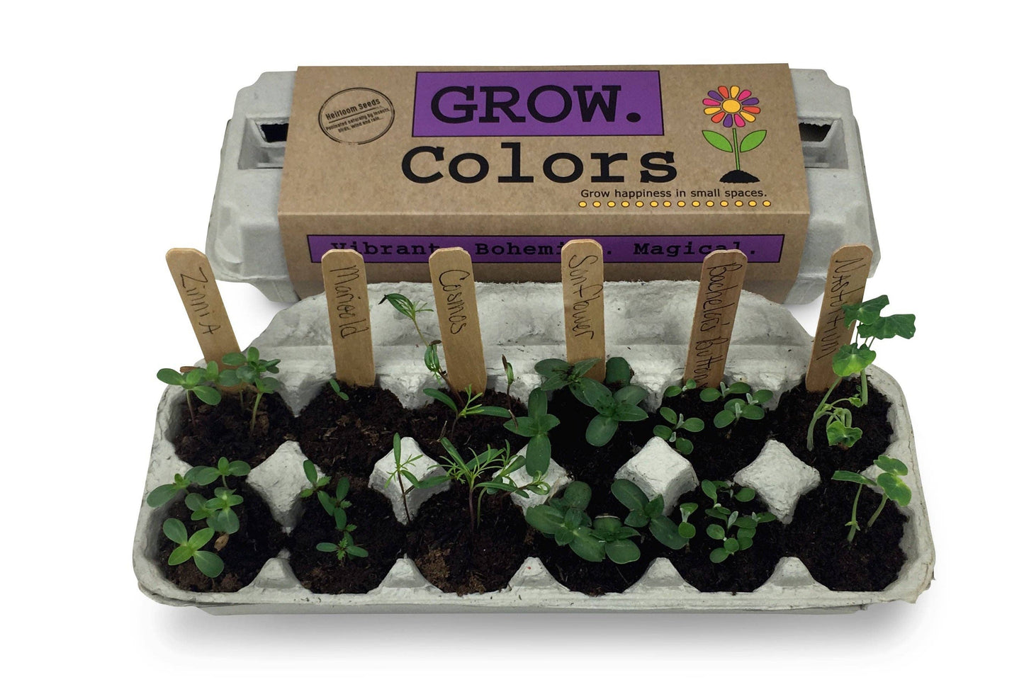 Colors Flower Garden Grow Kit