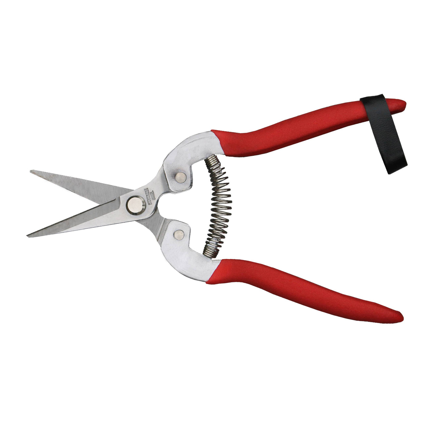 Garden Shears--Needle Nose