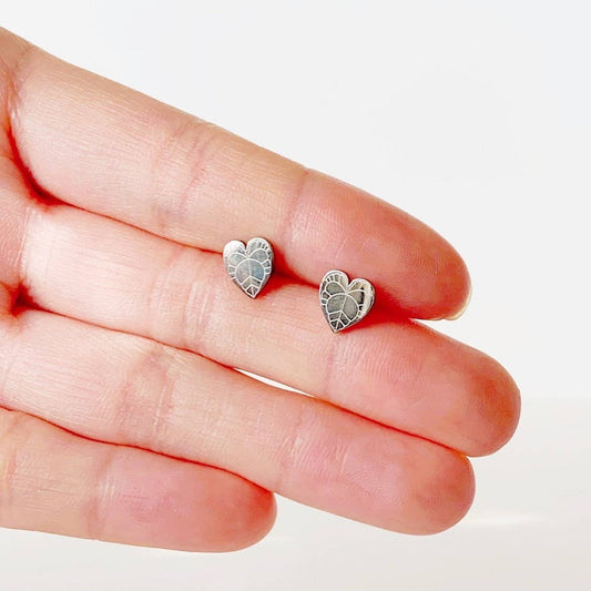 Anthurium Clarinervium Plant Studs | Hypoallergenic