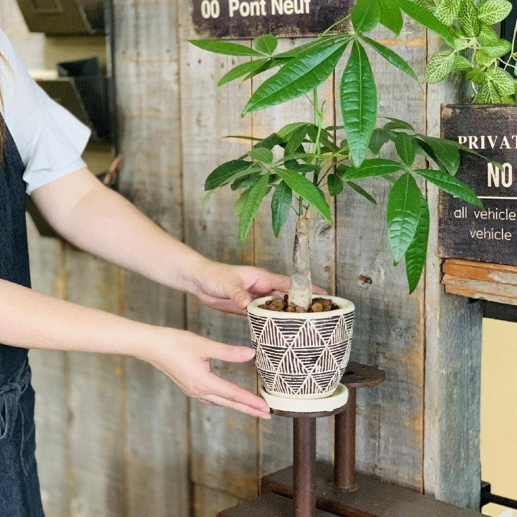 Elemental Cement Planter Triangle