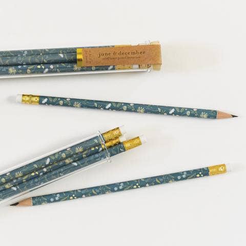 Wildflower Pencil Terrarium, Set Of 5 Pencils