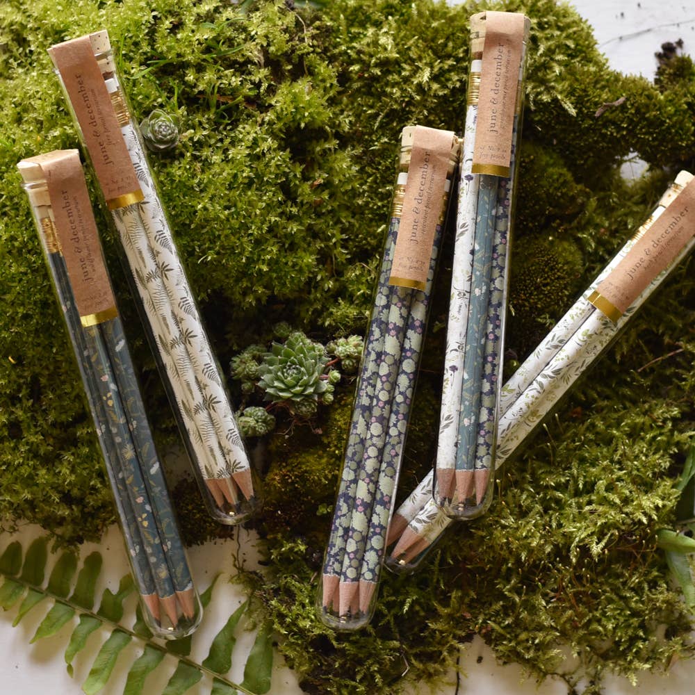 Hummingbird Pencil Terrarium, Set of 5 Pencils