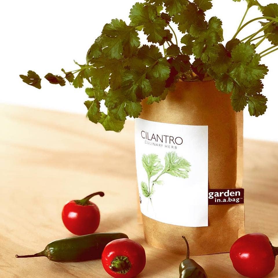 Garden in a Bag | Cilantro