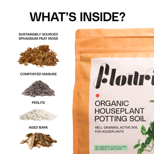 Organic Houseplant Potting Soil