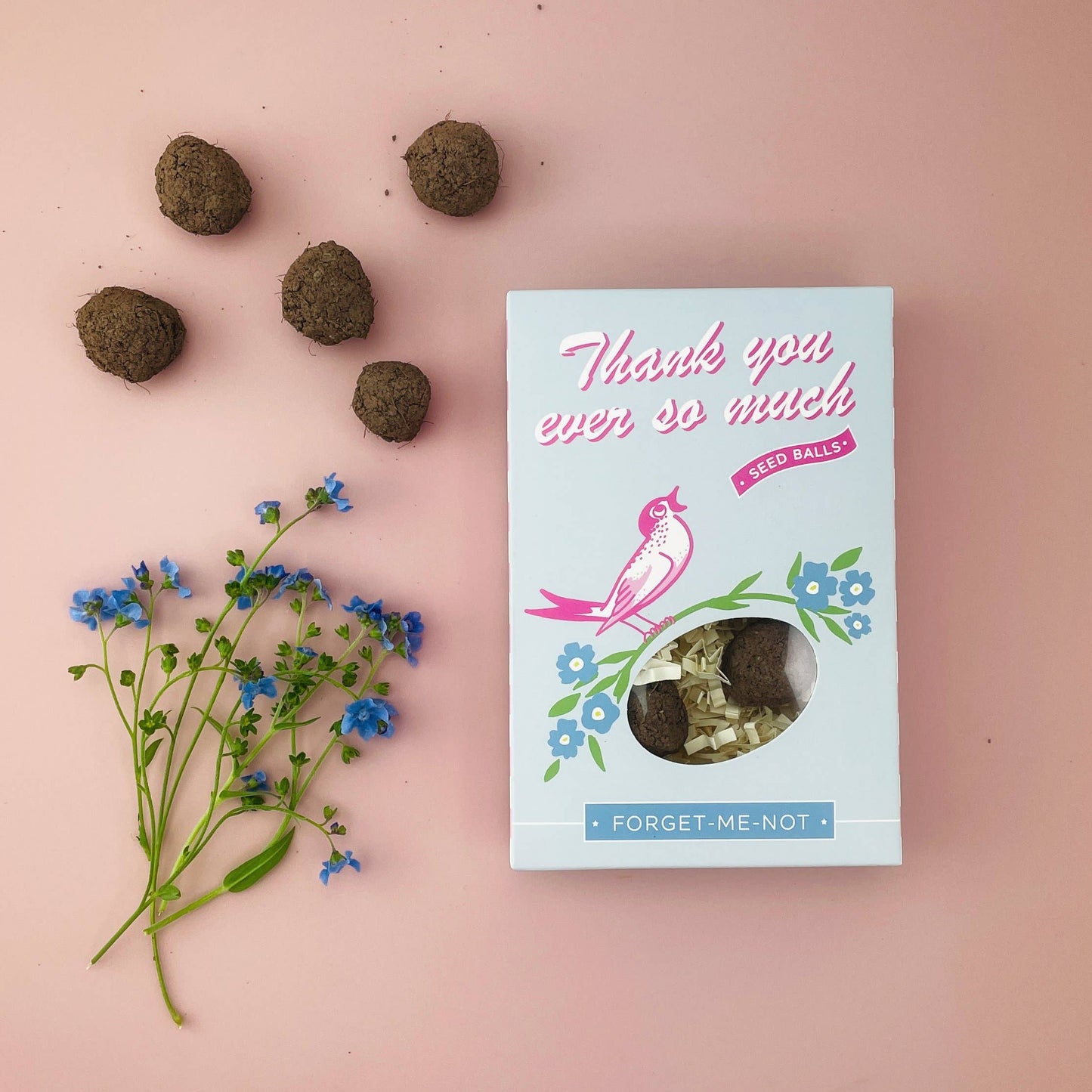 Thank You So Much Forget-Me-Not Garden Seed Ball Gift Box