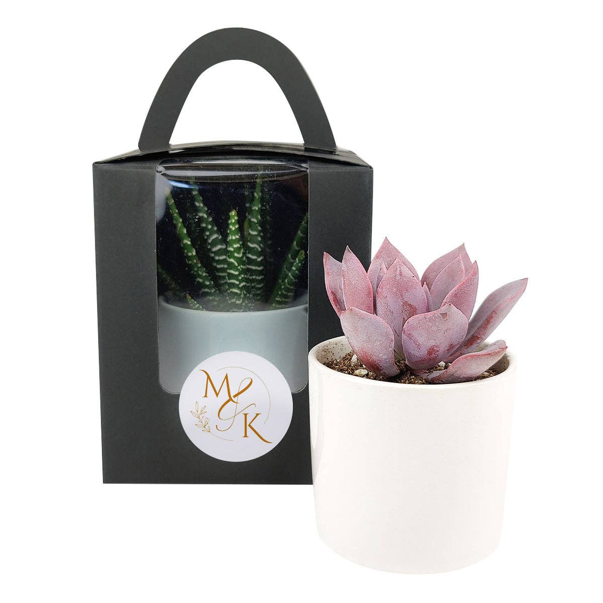 Plant Carrier Bag, Succulent Gift Box, Holiday Gift Ideas