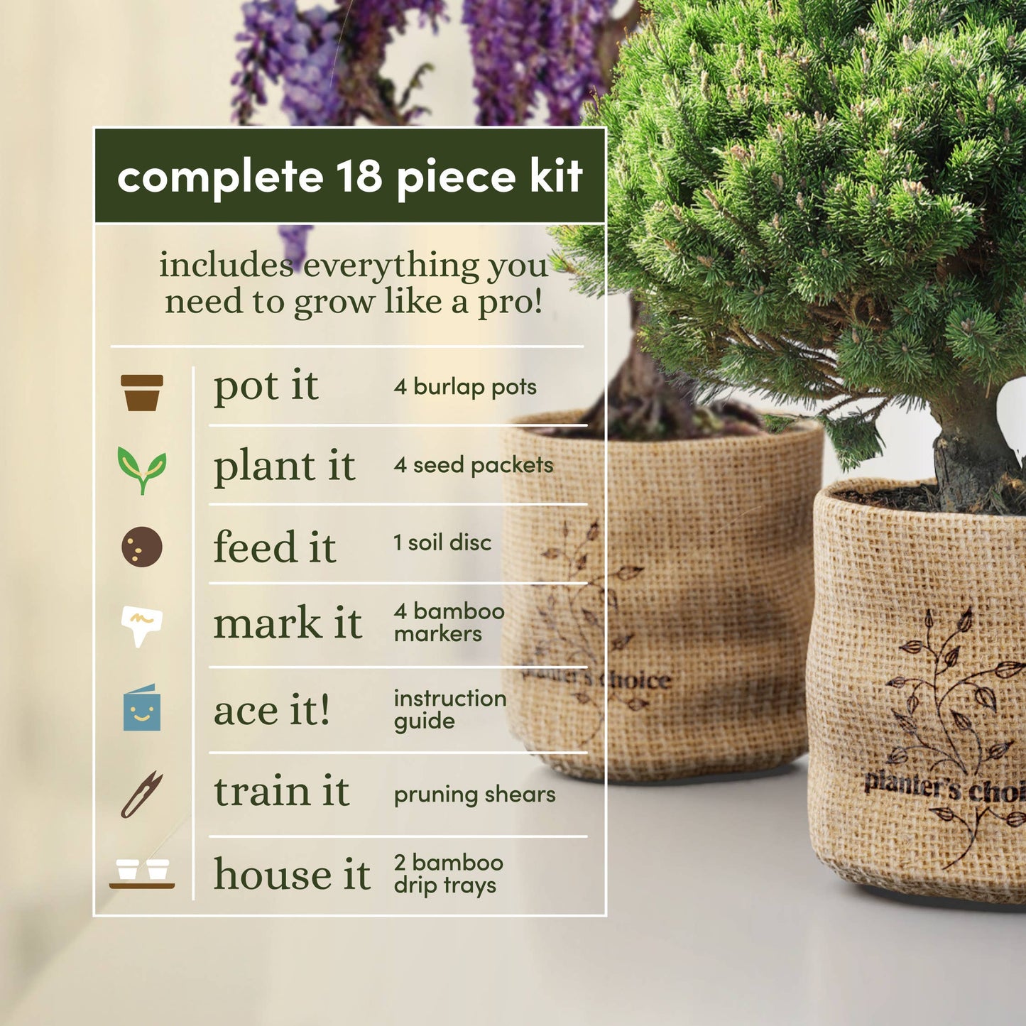 Bonsai Growing Kit