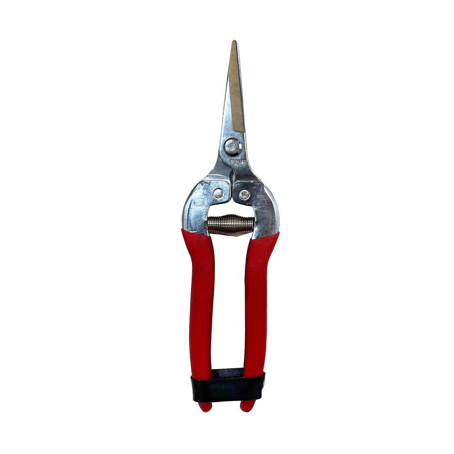 Garden Shears--Needle Nose