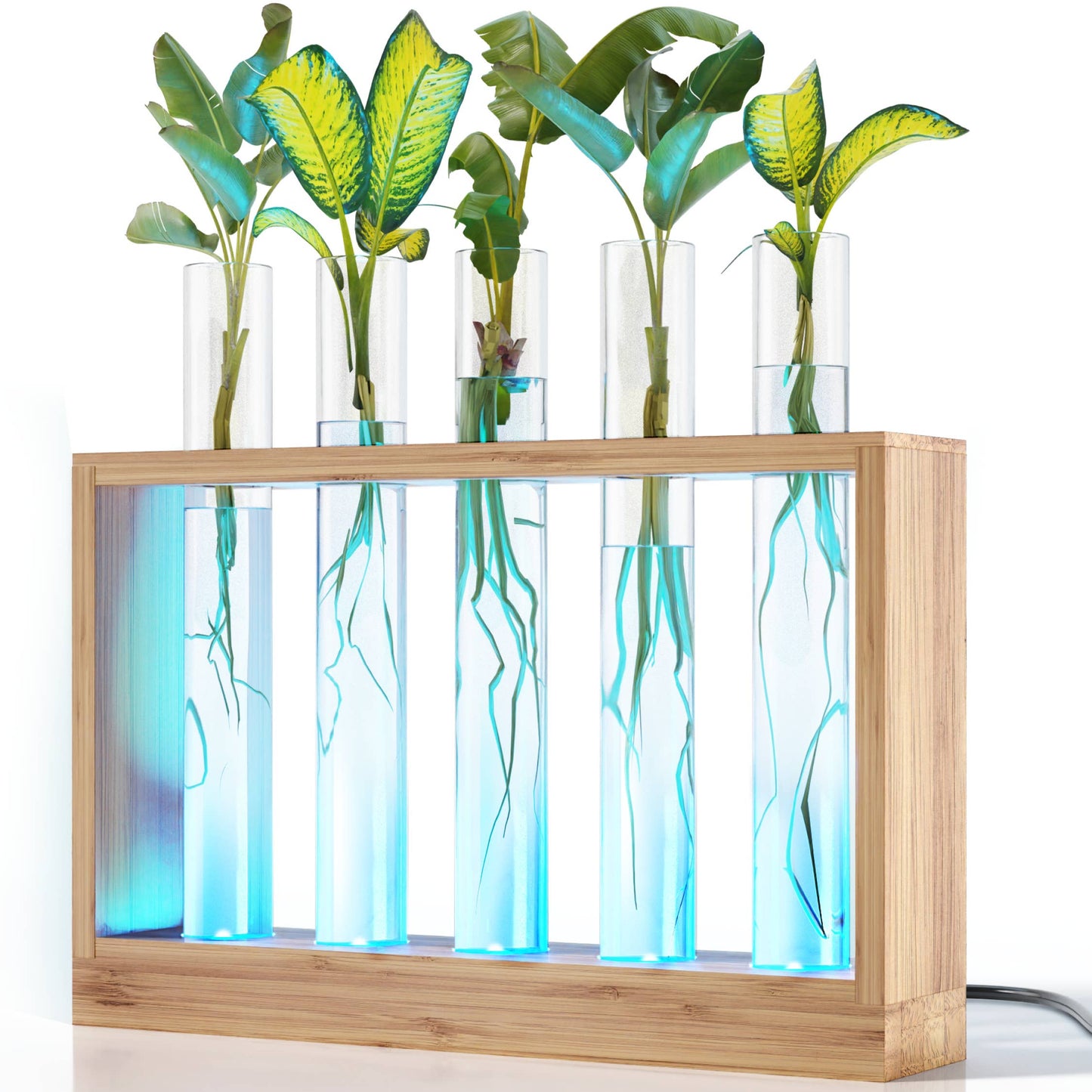 Light Up Bamboo Vial Air Planter