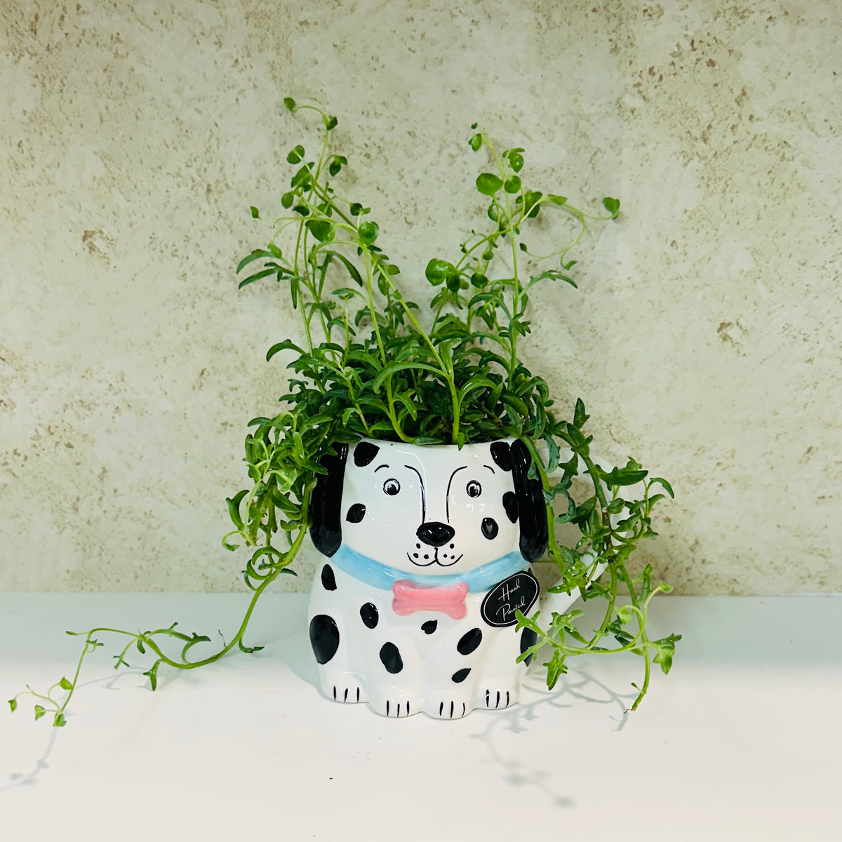 String of Dolphins in Dog Mug