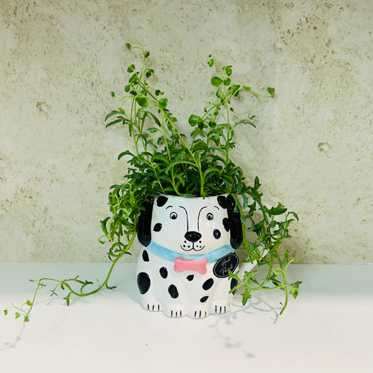 String of Dolphins in Dog Mug