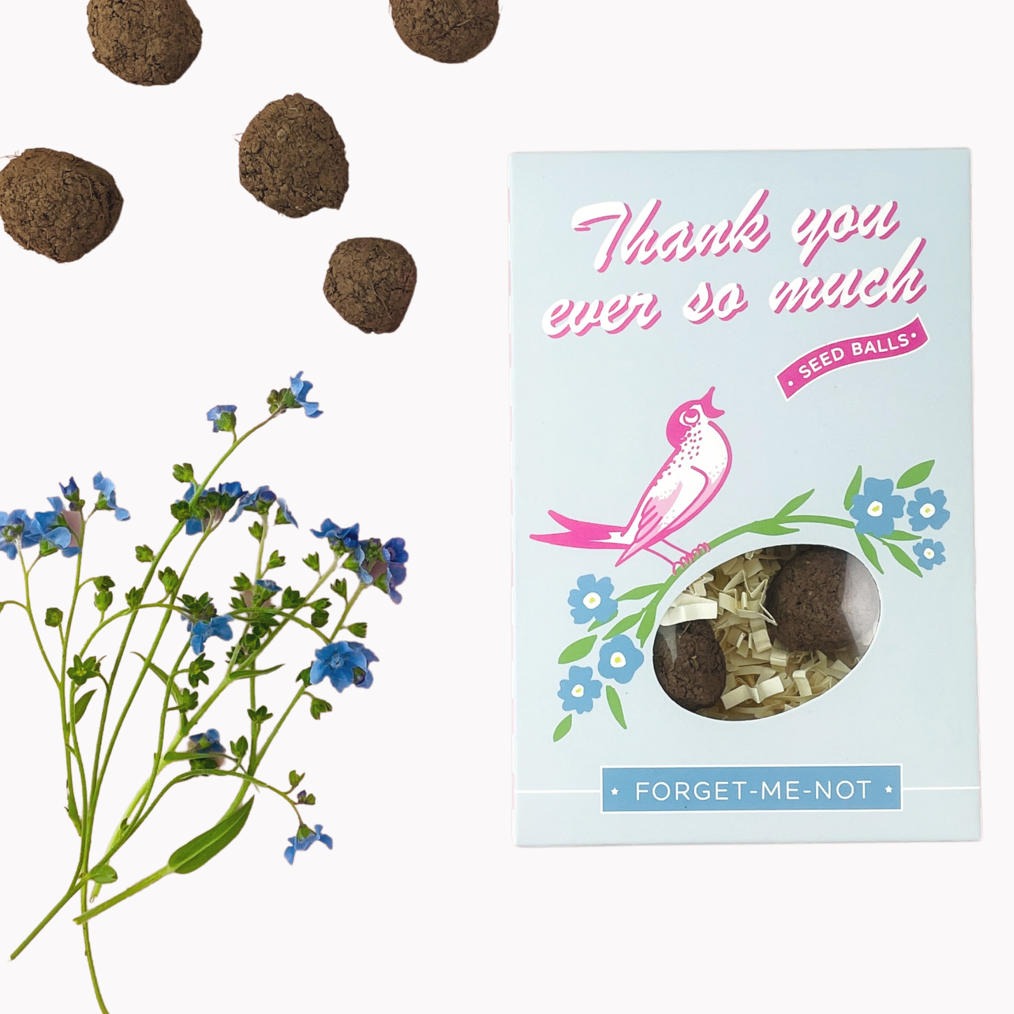 Thank You So Much Forget-Me-Not Garden Seed Ball Gift Box