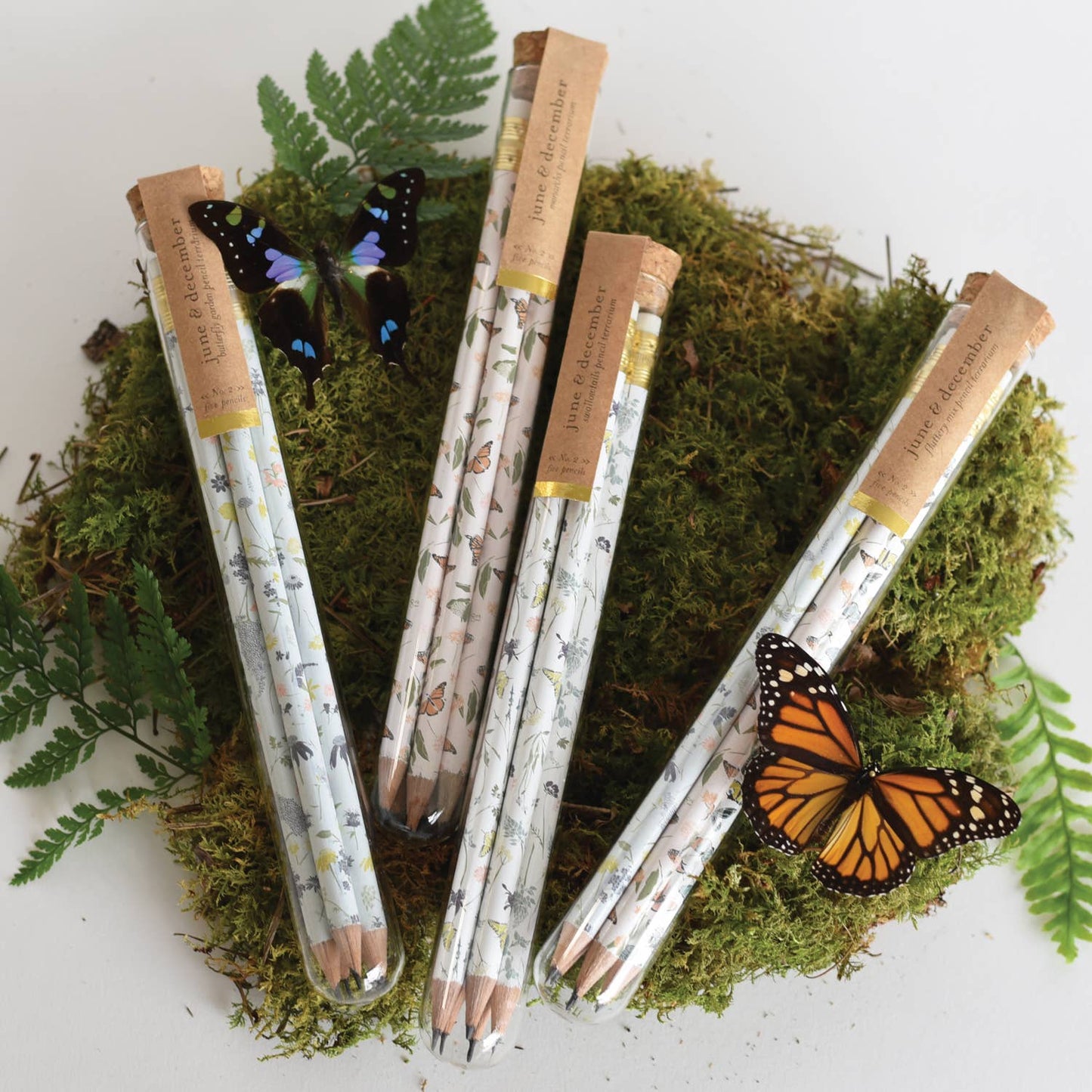 Fluttery Mix Pencil Terrarium, Set of 5 Pencils