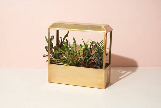 Smart Growhouse - Brass