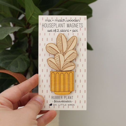 rubber plant wooden houseplants pair of magnets