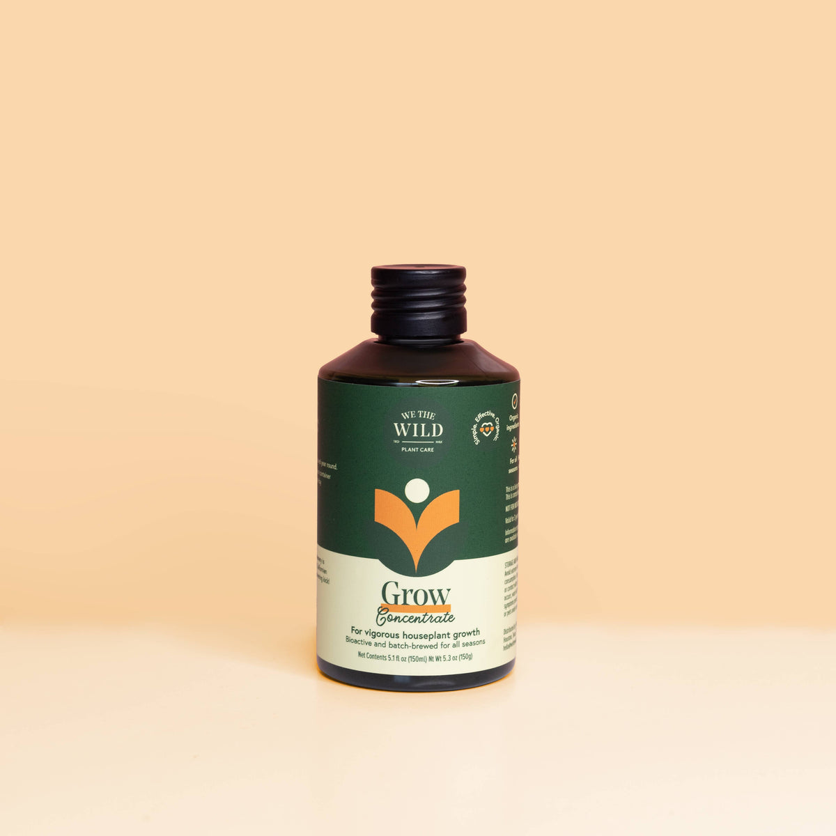 We the Wild Desk Plant Grow Kit