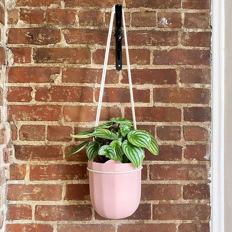 Loop Hanging Planter in Rose