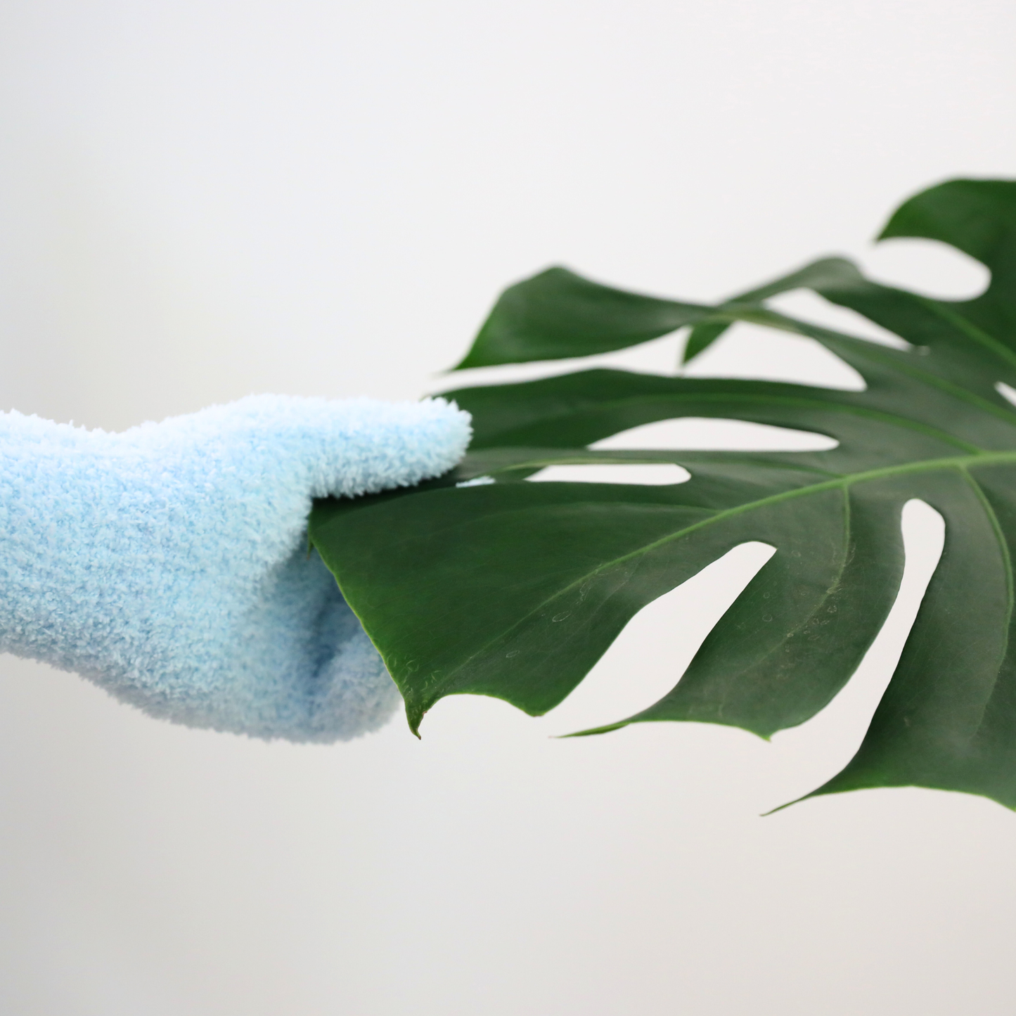 Microfiber Gloves - Leaf-Shining Gloves