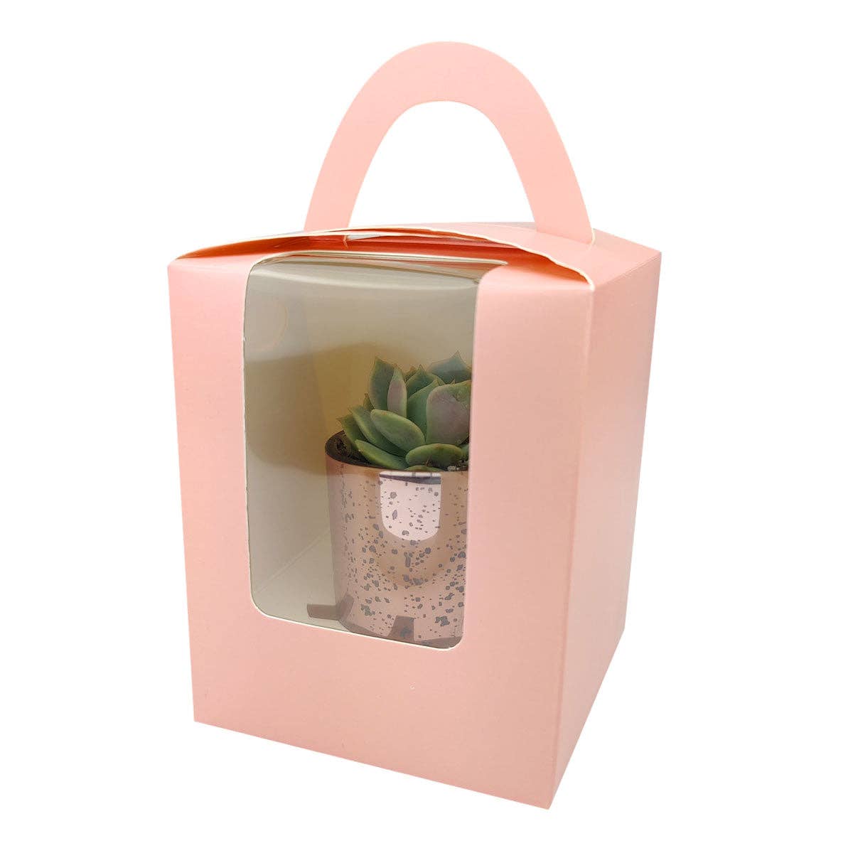 Plant Carrier Bag, Succulent Gift Box, Holiday Gift Ideas