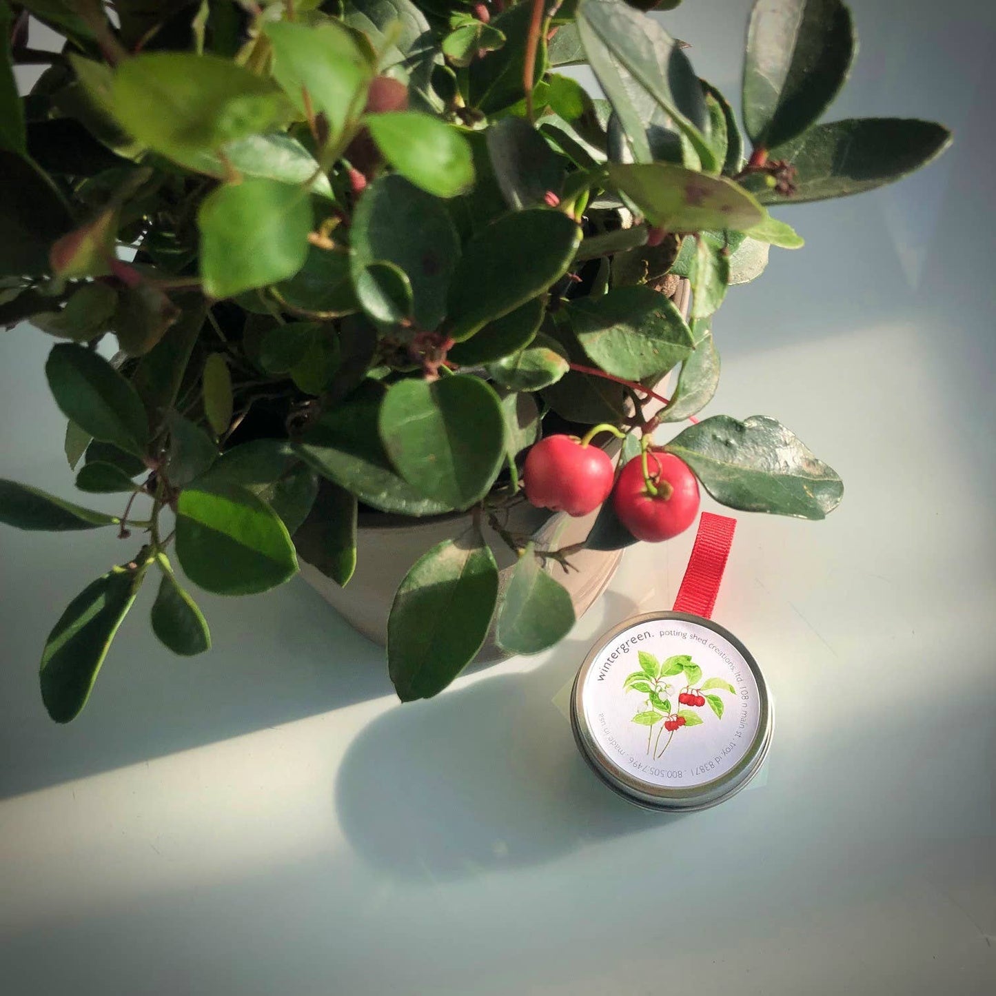 Garden Sprinkles Christmas Ornament | Wintergreen