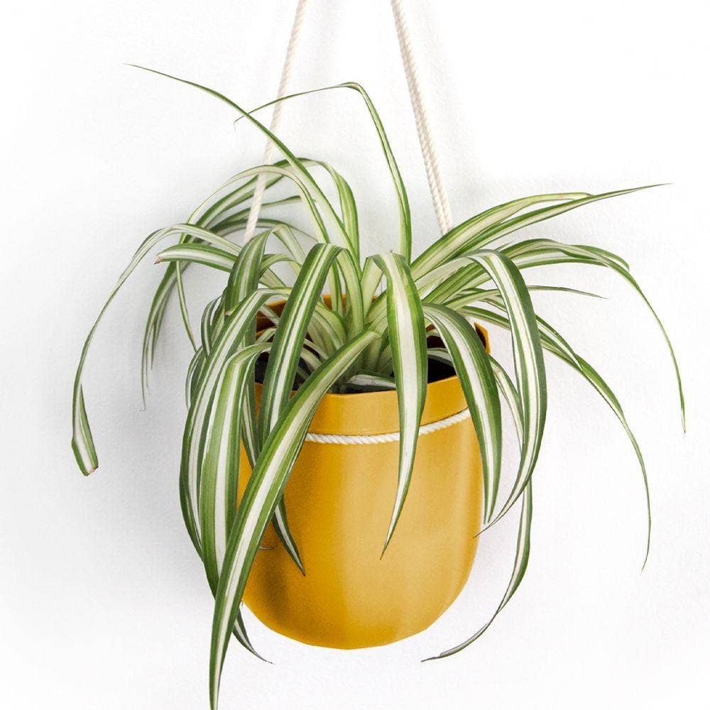 Loop Hanging Planter in Mustard