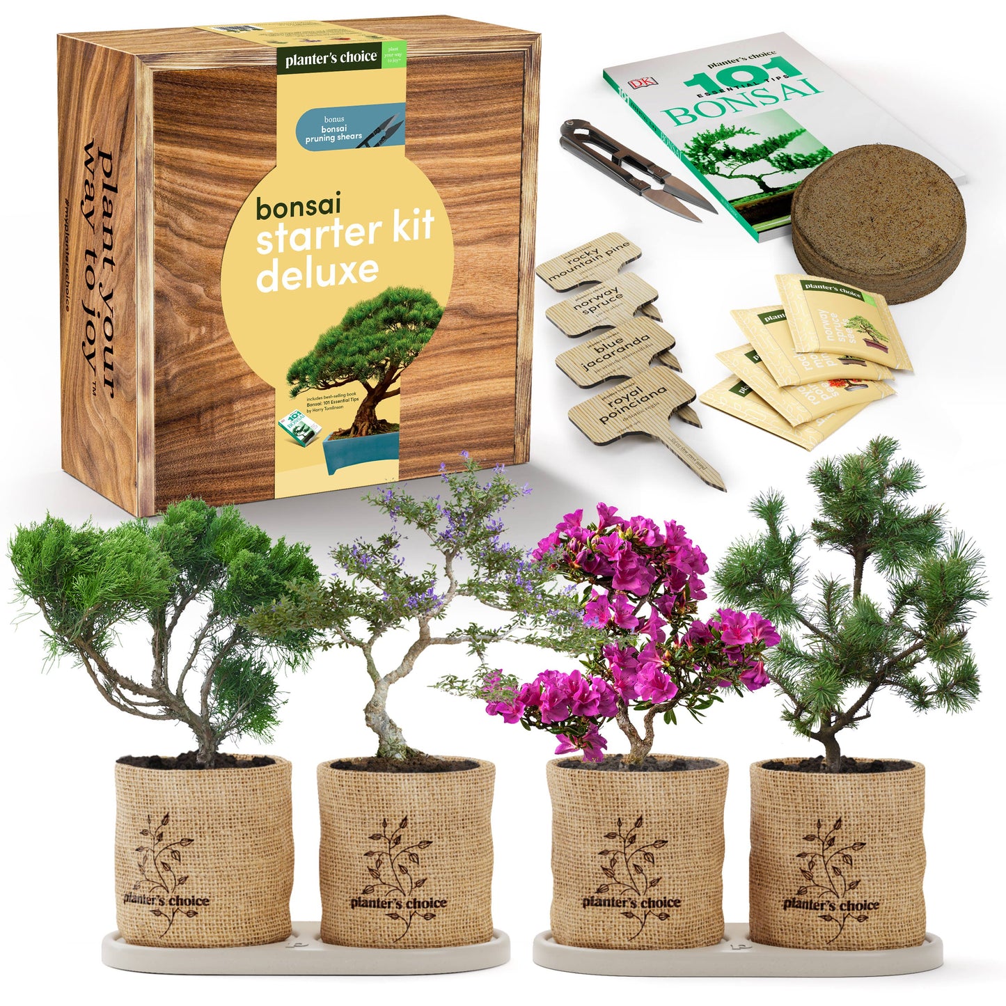 Bonsai Growing Kit