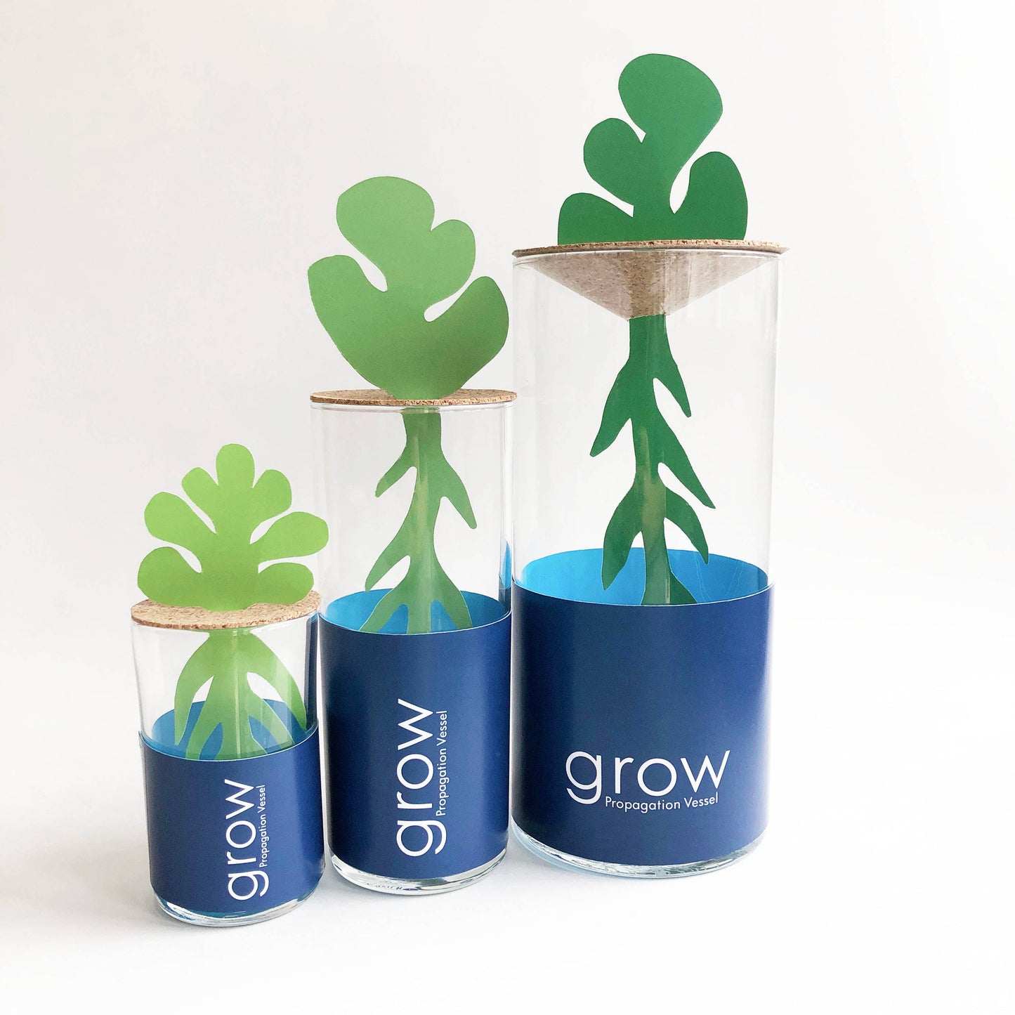 Propagation Vessel | 11oz Medium | Great Christmas Gift idea!