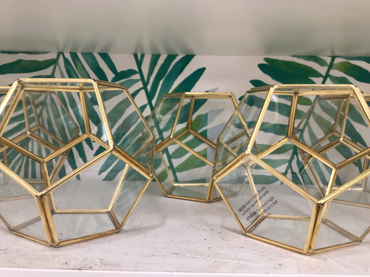 Dodecahedron Terrarium