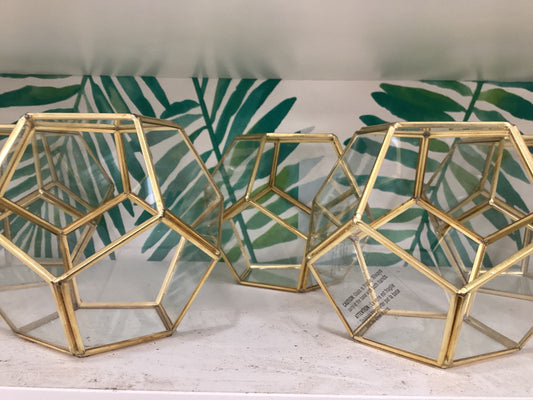 Dodecahedron Terrarium
