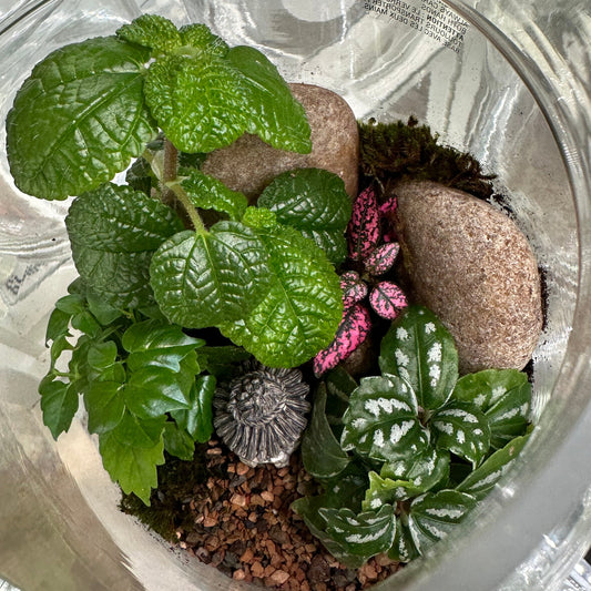 Tiny Worlds: Closed Terrarium Building Class