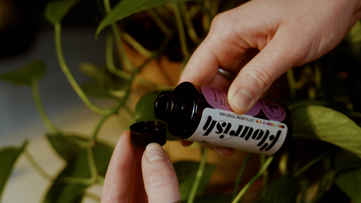 All-Purpose Organic Plant Food