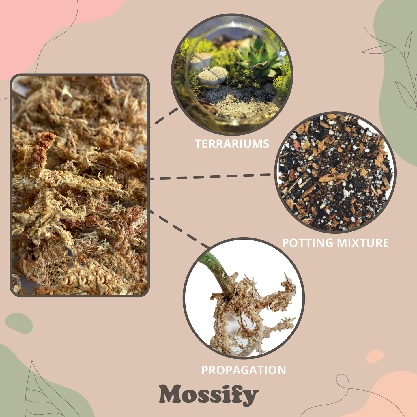 Premium Sphagnum Moss Mix