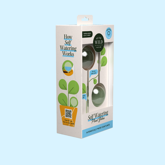 We the Wild - Self-Watering Plant Globes